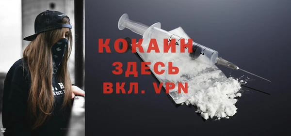 spice Инсар