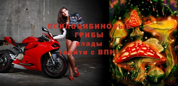 молекула духа Инта