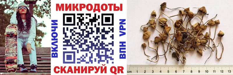 Галлюциногенные грибы прущие грибы  Купить где  Билибино 